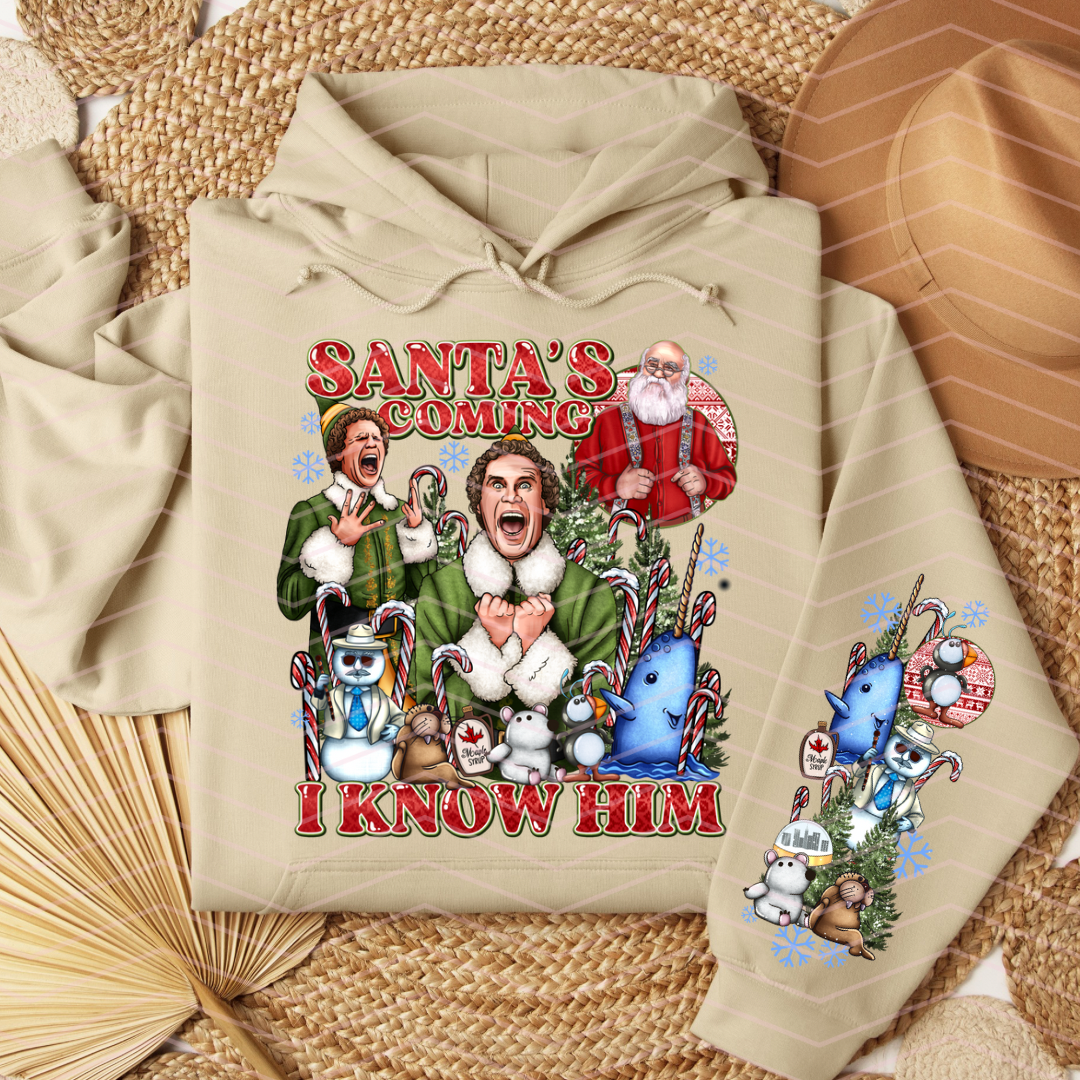 ELF SANTAS COMING DTF TRANSFER