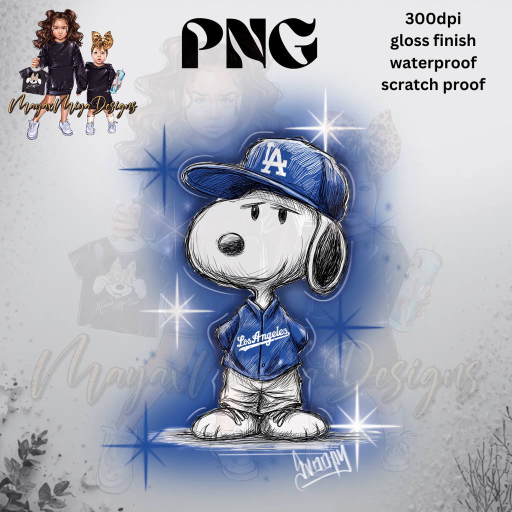 CB SNPY AIRBRUSH LAD FAN PNG