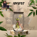 GR STAR UVDTF DECAL