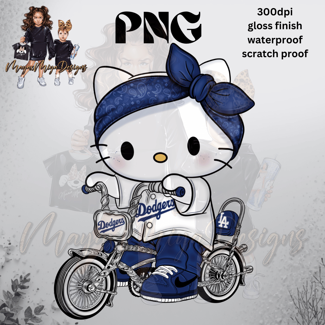 HK LOWRIDER BIKE DDGRS PNG